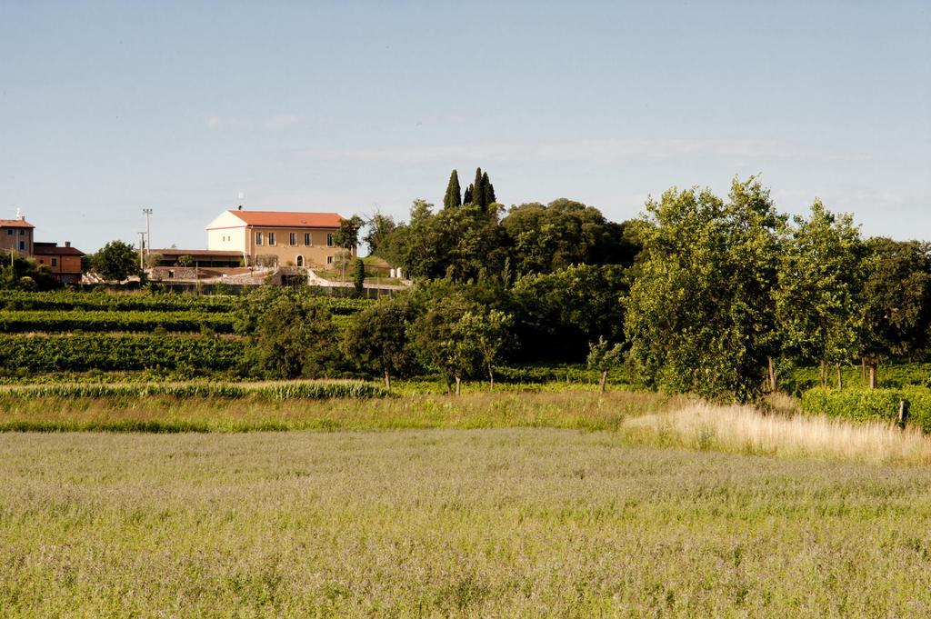 Agriturismo Panorama Villa Castelnuovo del Garda Kültér fotó