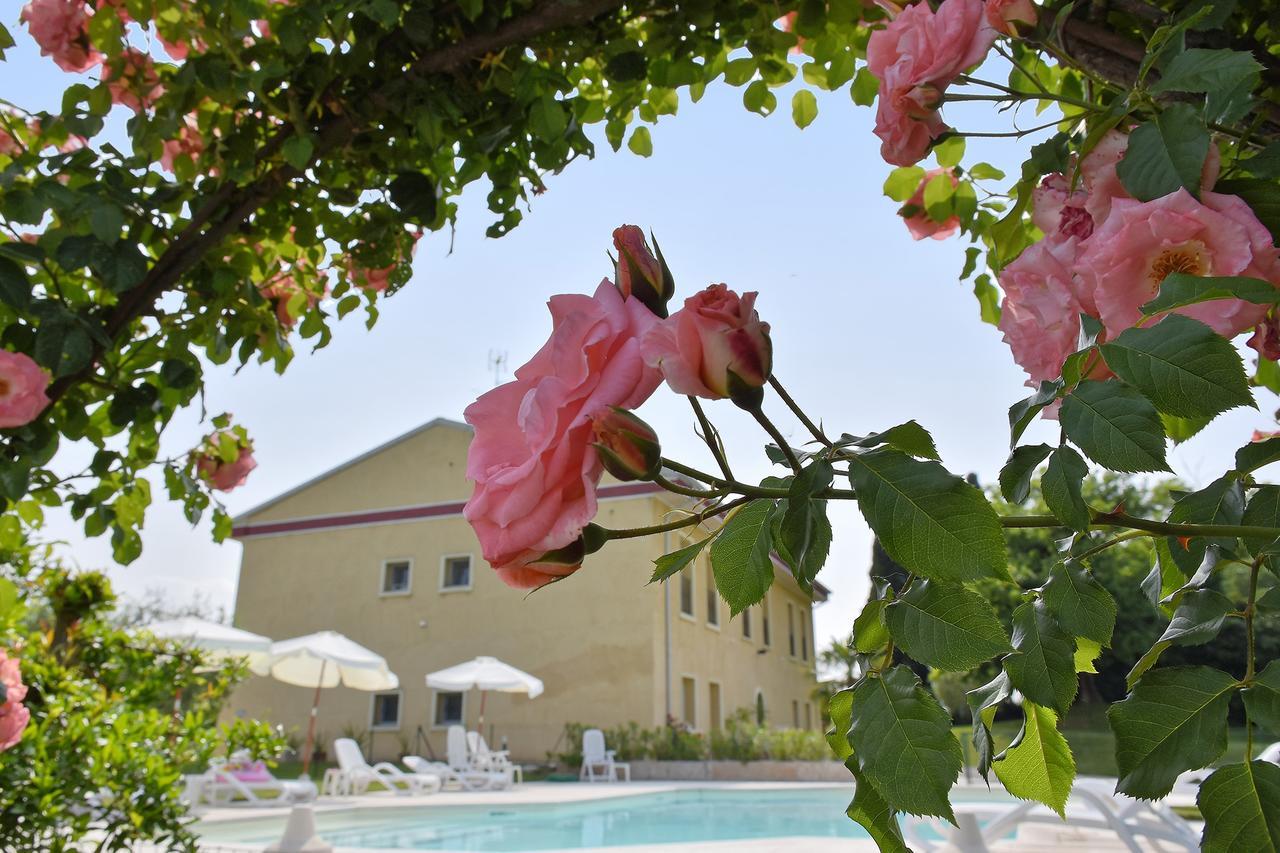 Agriturismo Panorama Villa Castelnuovo del Garda Kültér fotó