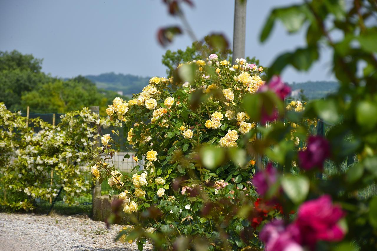 Agriturismo Panorama Villa Castelnuovo del Garda Kültér fotó